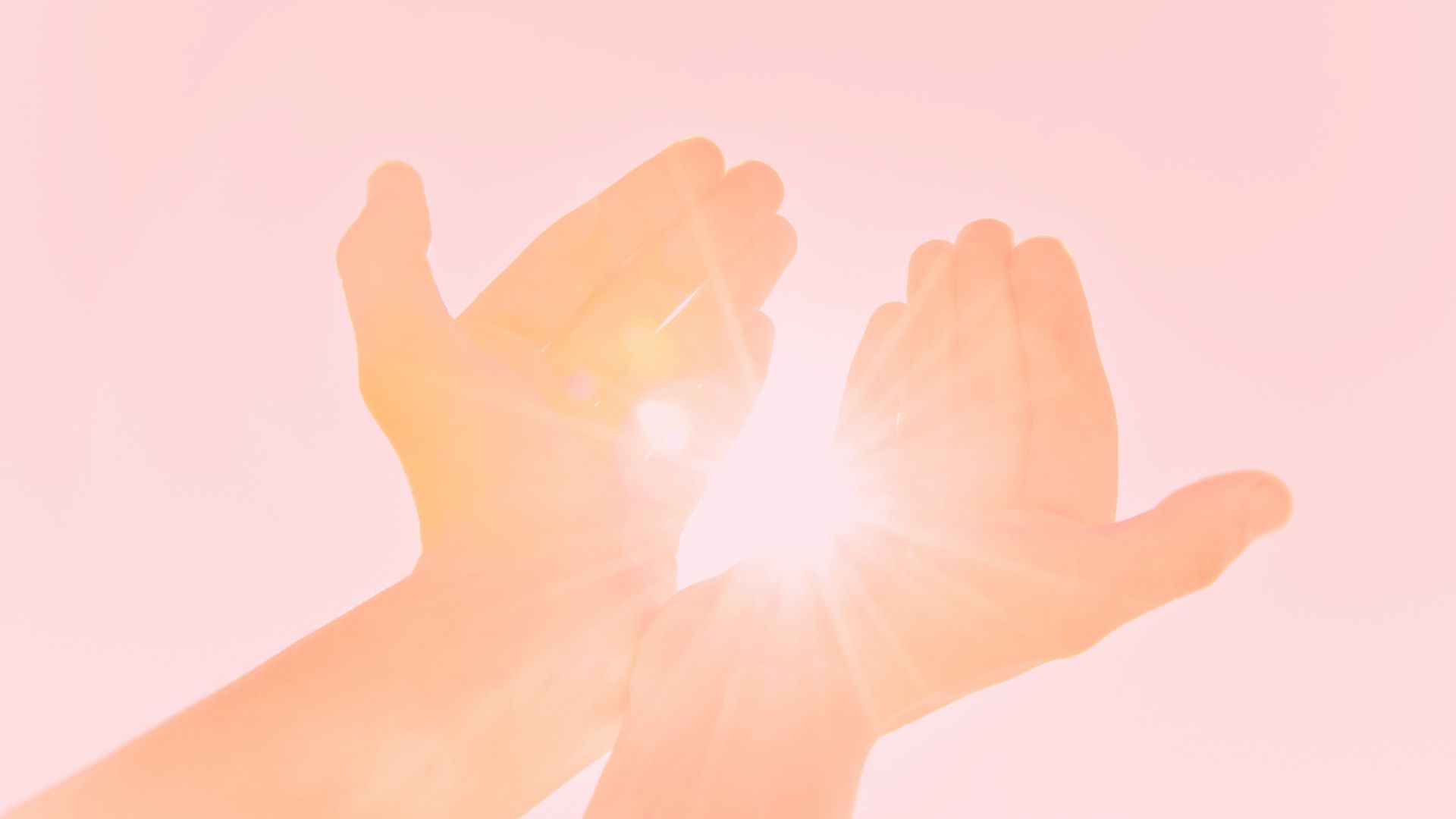 Illustration de mains sur un fond rose