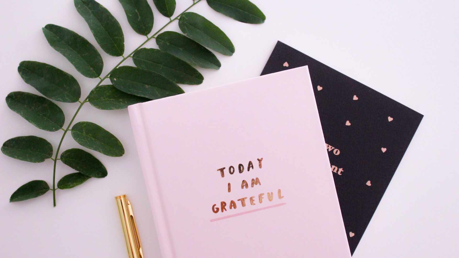 Carnet portant la phrase « Today I am grateful »